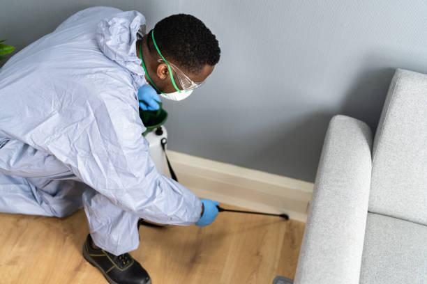 Best Residential Pest Control  in Chelsea Cove, NY